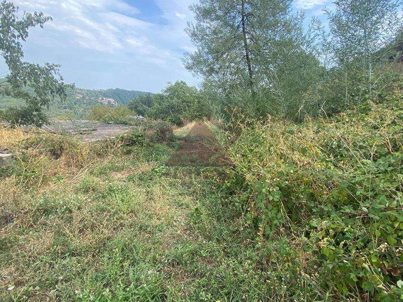 Maison en pierre - 40 m² - 3 pièces