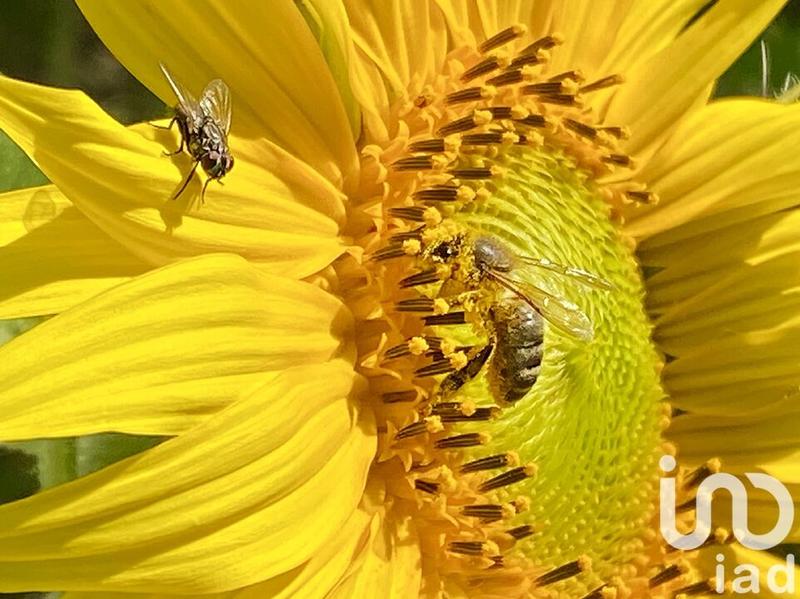 Maison de campagne - 213 m² - 8 pièces