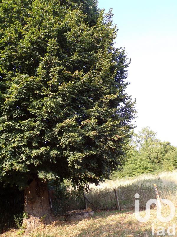 Maison de campagne - 77 m² - 3 pièces