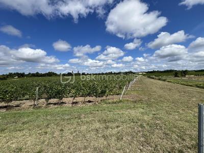 Terrain - 237 900 m²