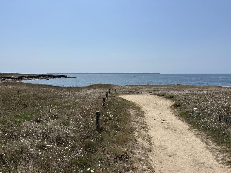 Appartement - 54 m² - 2 pièces