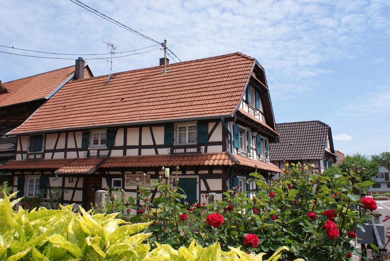 Jeu de piste numérique Tresors du Rhin Gambsheim - Rheinbischofsheim