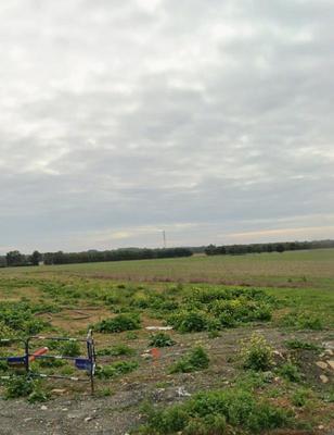 Terrain constructible - 279 m²