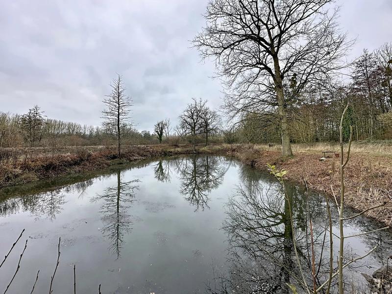 Maison - 150 m² - 7 pièces