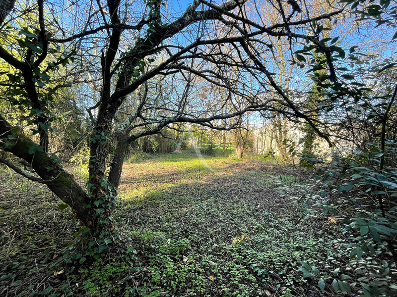 Maison - 78 m² - 4 pièces