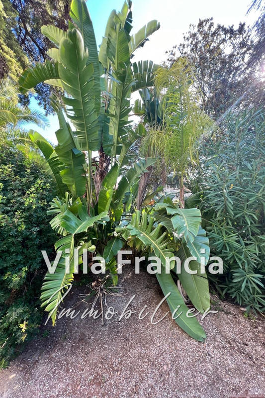 Appartement - 39 m² - 1 pièce