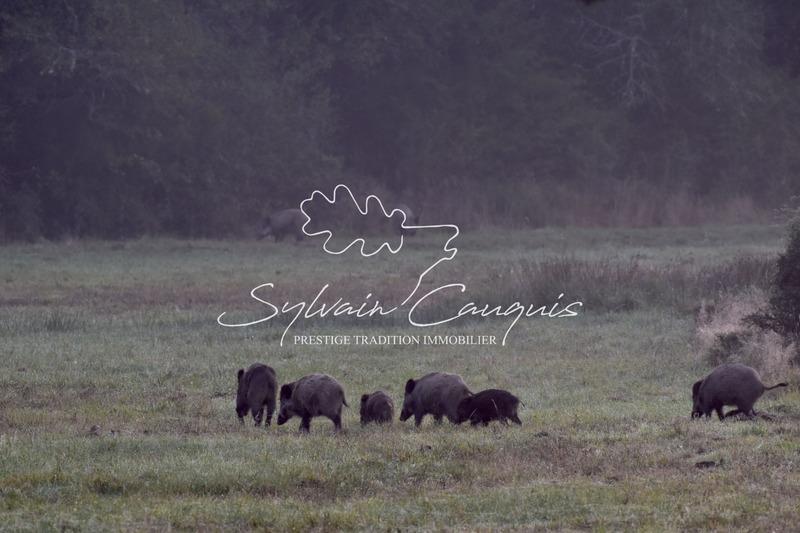 Propriété - 800 m² - 25 pièces