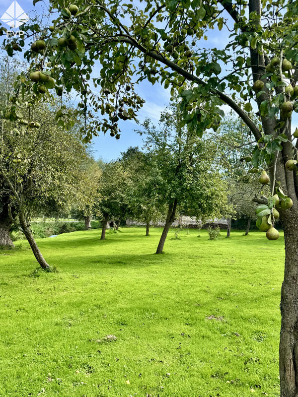 Maison - 63 m² - 3 pièces