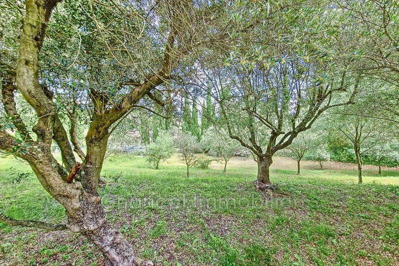 Villa - 240 m² - 5 pièces