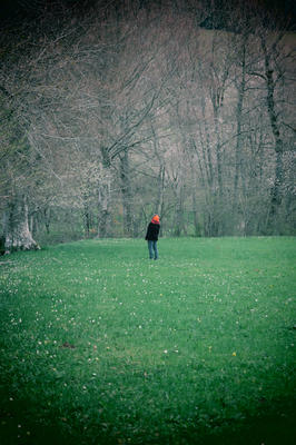 Maison Dans la Forêt du Monde - Sortie de Résidence