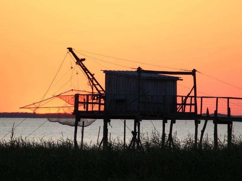 Croisière du dimanche sur l'estuaire à Terres d'Oiseaux