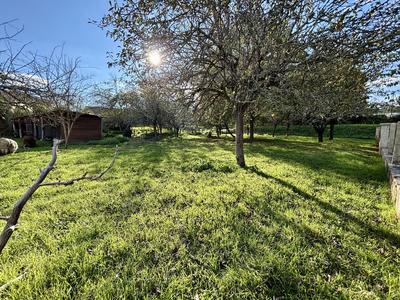 Terrain constructible - 917 m²