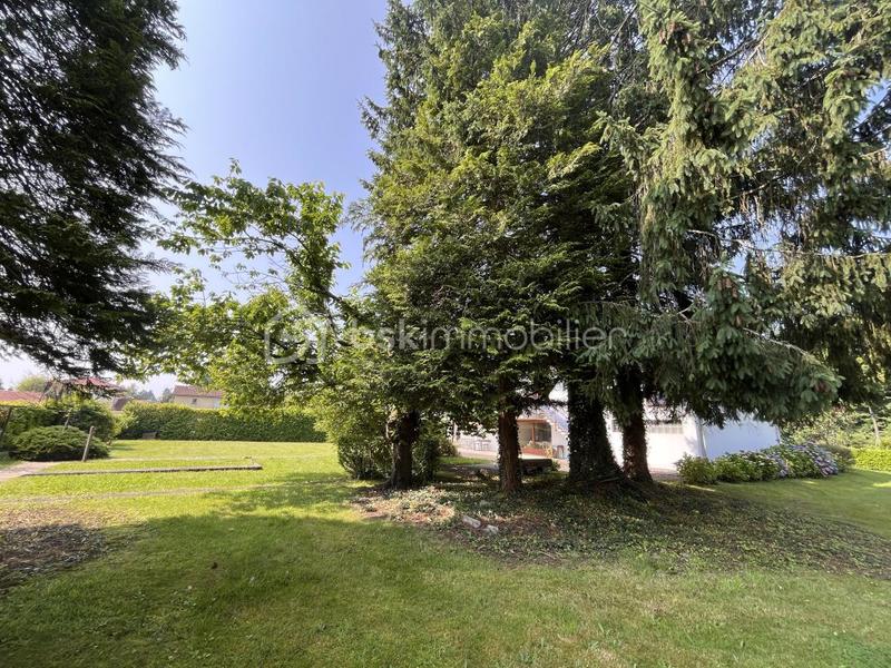 Maison d'architecte - 230 m² - 8 pièces