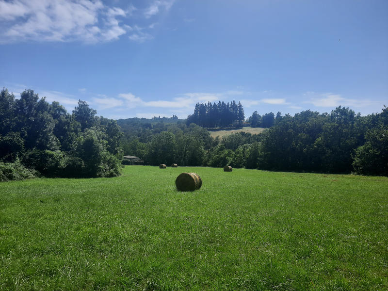 Terrain - 7 430 m²