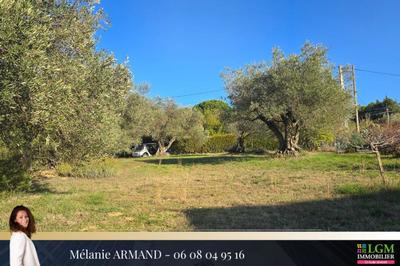 Terrain - 530 m²