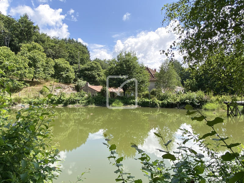 Propriété - 250 m² - 11 pièces