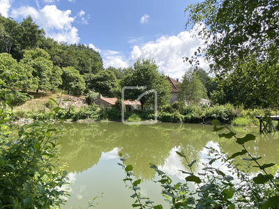 Propriété - 250 m² - 11 pièces