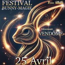 Festival Bunny-Magie