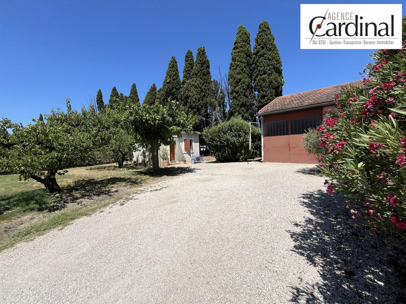 Viager - Maison - 143 m² - 5 pièces