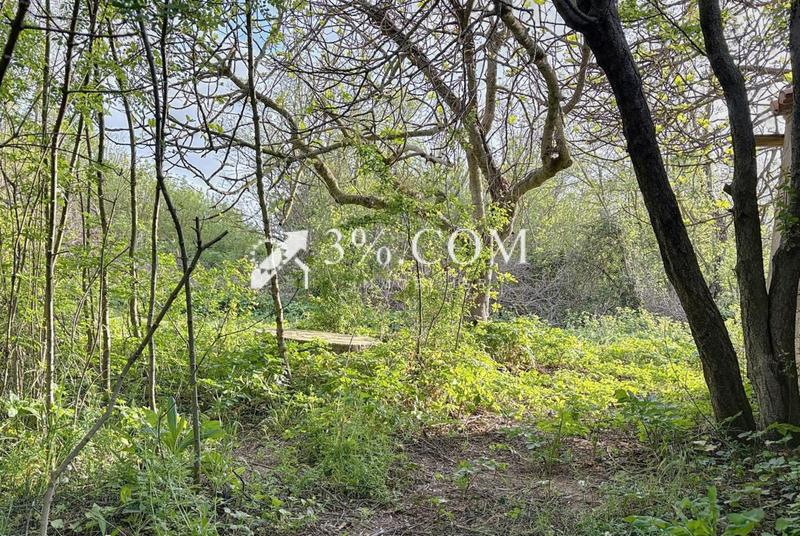 Terrain de loisirs - 4 558 m²