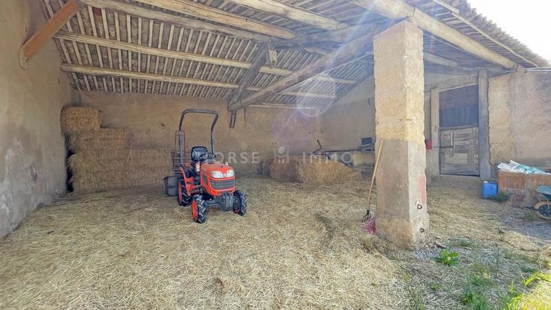 Mas - 330 m² - 8 pièces