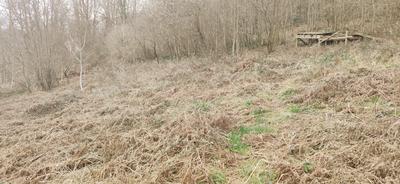 Terrain de loisirs - 5 395 m²