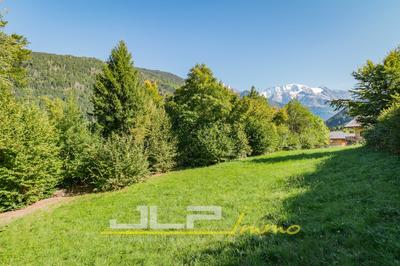Terrain - 1 403 m²