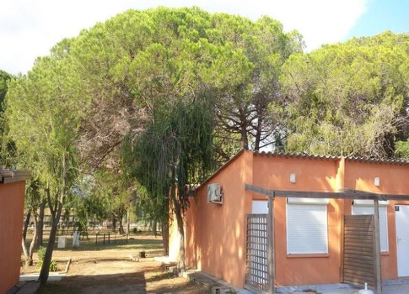 Maison traditionnelle - 23 m² - 1 pièce