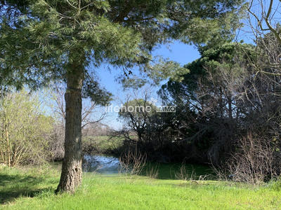 Mas - 238 m² - 7 pièces