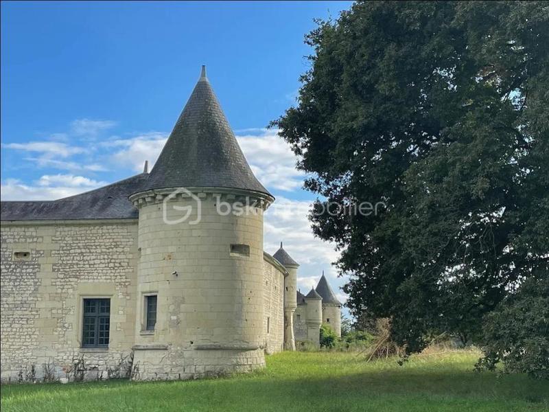 Château - 300 m² - 8 pièces