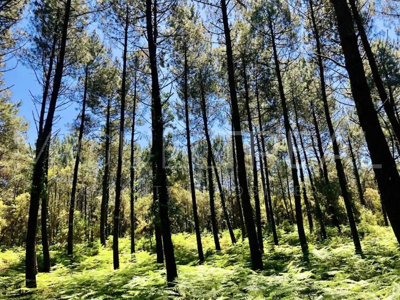 Maison - 47 m² - 4 pièces