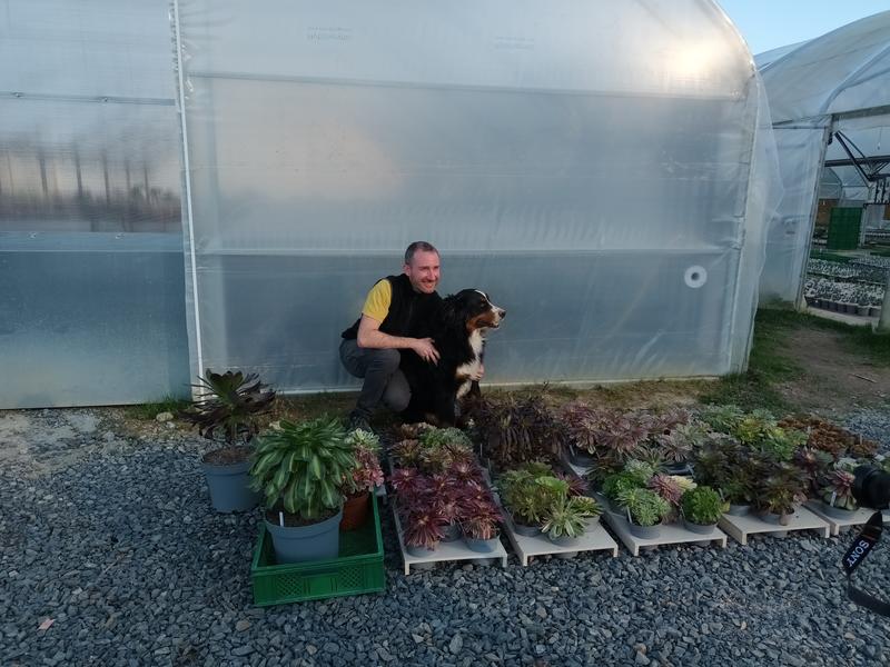 Talents d’Ici – Visites d’entreprises en Cingal–Suisse Normande