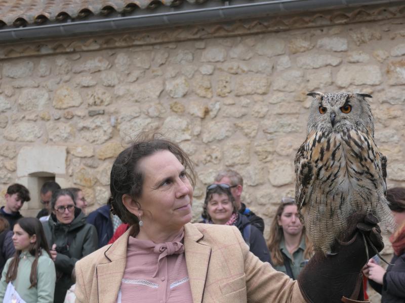 Fête des rapaces et "Spectacle de fauconnerie" à Terres d'Oiseaux