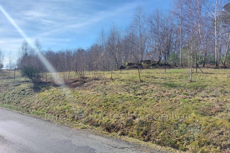 Maison en pierre - 58 m² - 2 pièces