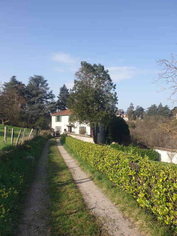 Propriété - 240 m² - 10 pièces