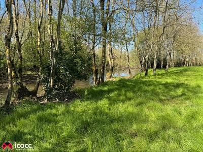 Terrain de loisirs - 3 255 m²