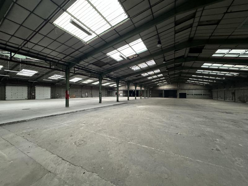 Local commercial - 550 m²