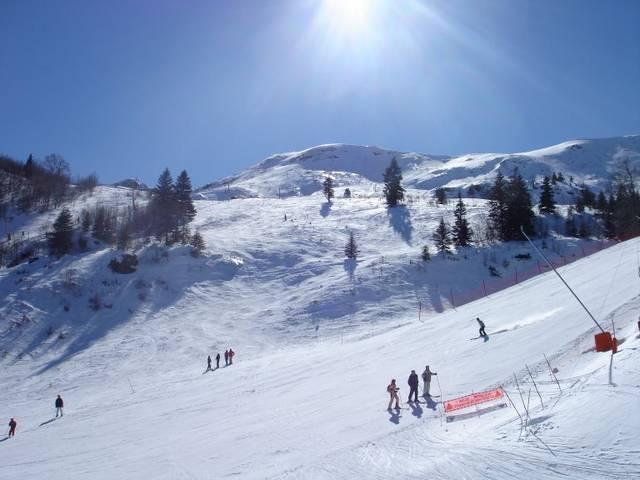 Appartement - 19 m² - 1 pièce