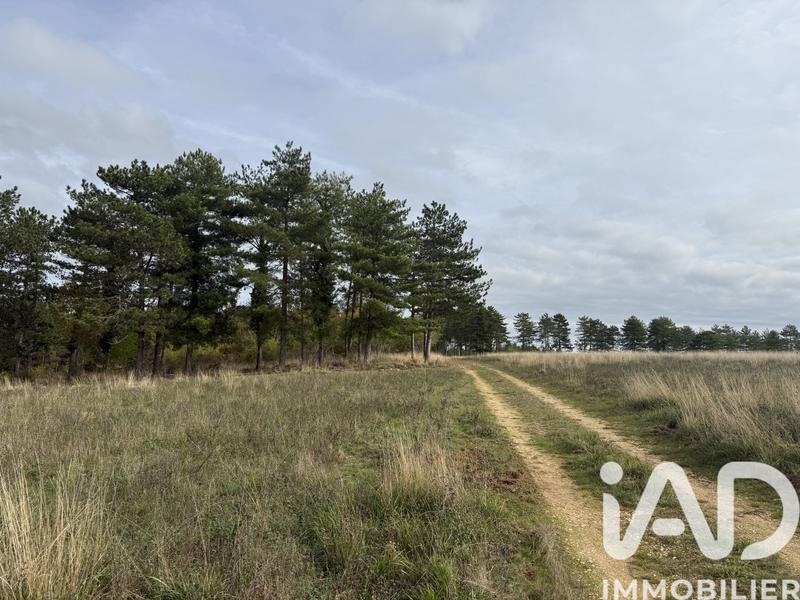 Terrain - 991 703 m²