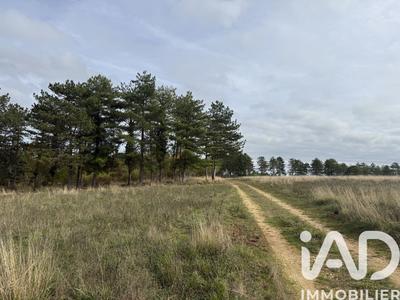 Terrain - 991 703 m²