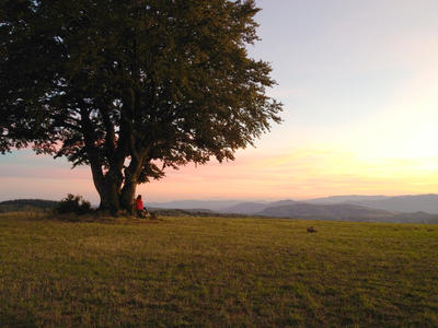 Séjour Méditation au Temple Lérab Ling