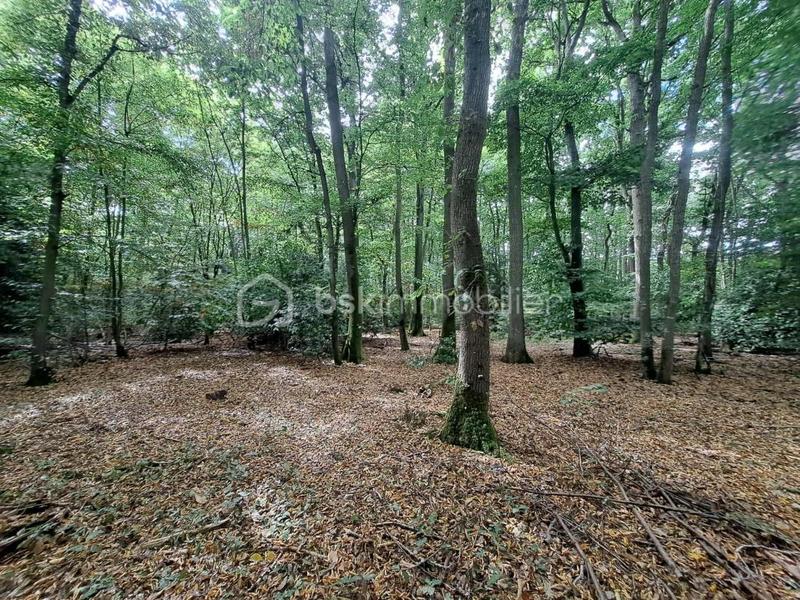 Maison - 117 m² - 4 pièces