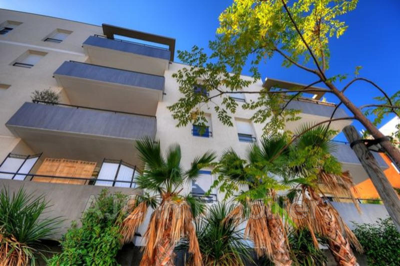 Appartement - 43 m²