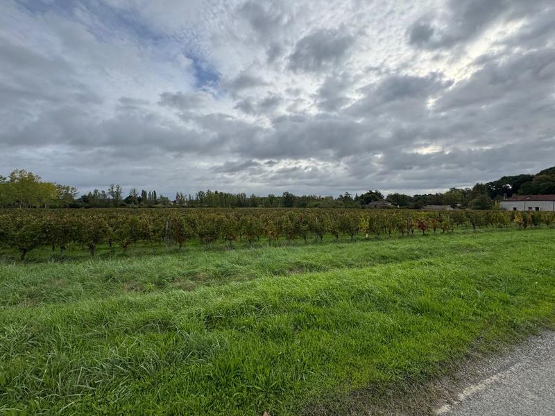 Maison - 180 m² - 10 pièces