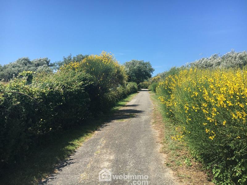 Maison - 100 m² - 30 pièces