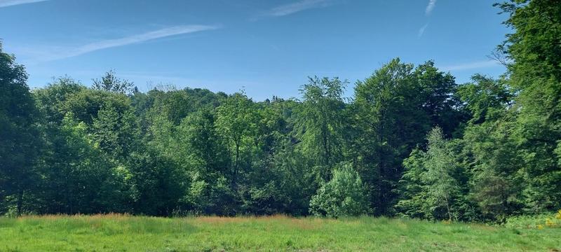 Maison de campagne - 65 m² - 4 pièces