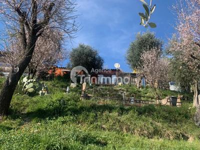 Viager - Maison - 60 m² - 3 pièces