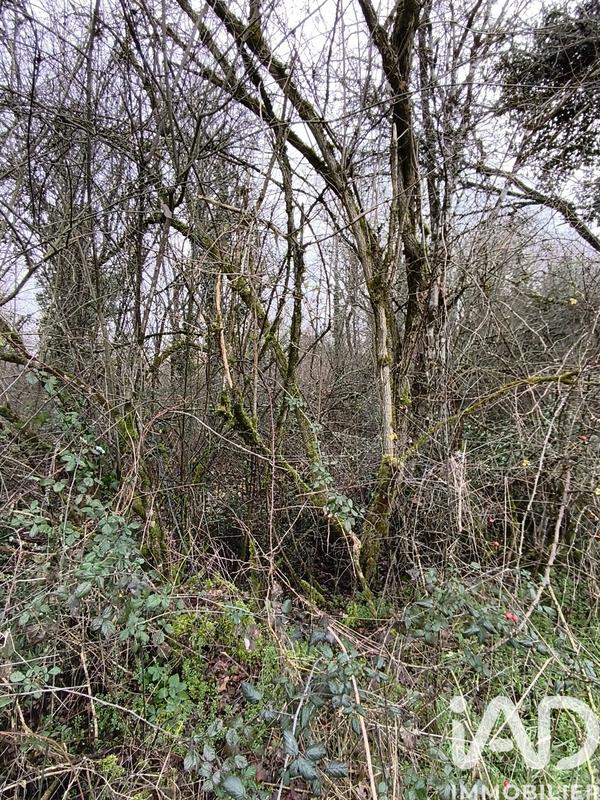 Terrain - 405 918 m²