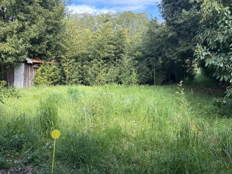 Maison - 56 m² - 3 pièces