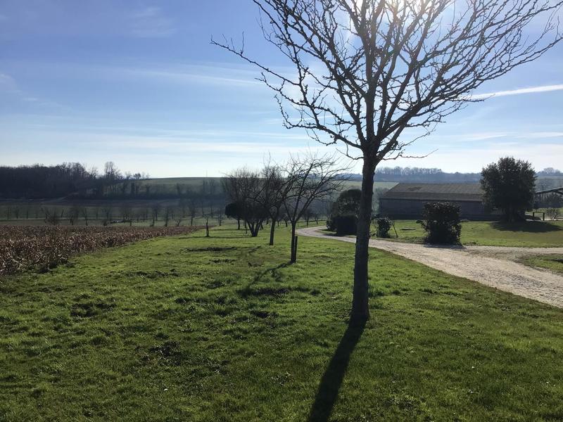 Maison - 305 m² - 12 pièces